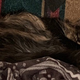Essie, doing her best Smaug guarding his hoard impression.